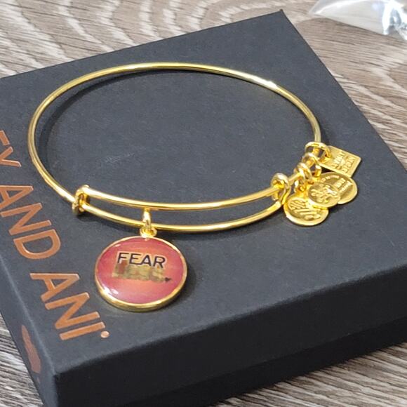 Alex and Ani Fearless Charm Bracelet - Picture 5 of 11